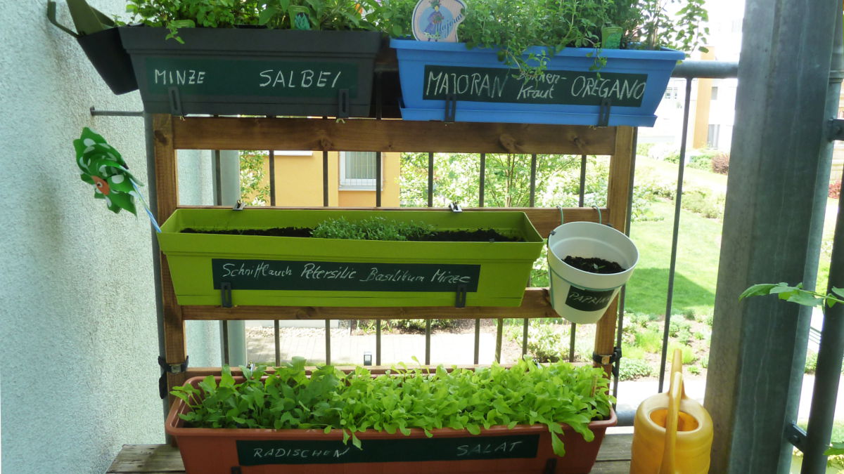 41+ schön Bilder Vertikaler Garten - Indoor Vertikaler Garten: Bringen