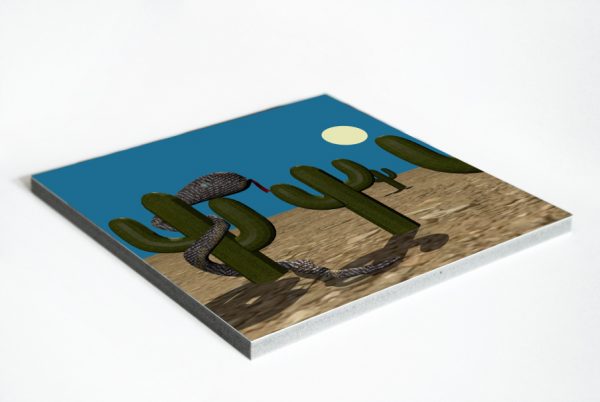 Kunstdruck Kakteennacht – Bild 2